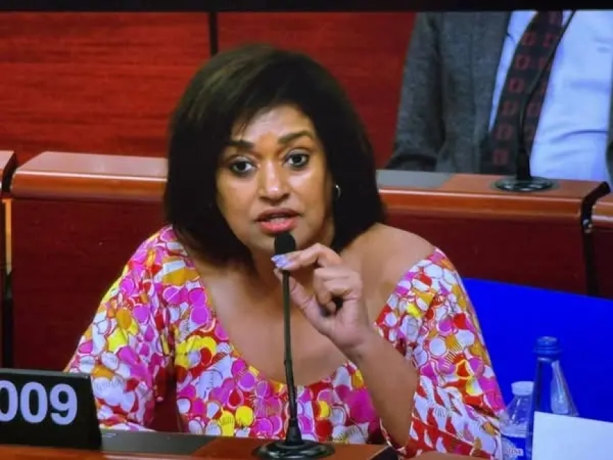 Maandamano Kenya: Mbunge Passaris apendekeza mswada wa udhibiti wa mikusanyiko kwenye Bunge na Mahakama
